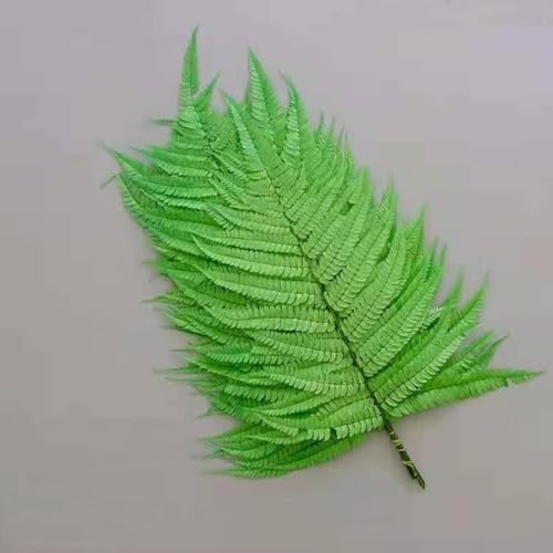 10 piezas flores secas naturales para decoración miniatura 7