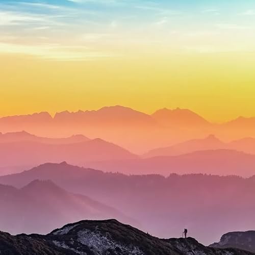 The Passion Paradox and Radical Moderation