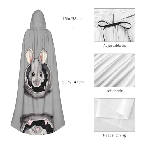 Photo complémentaire