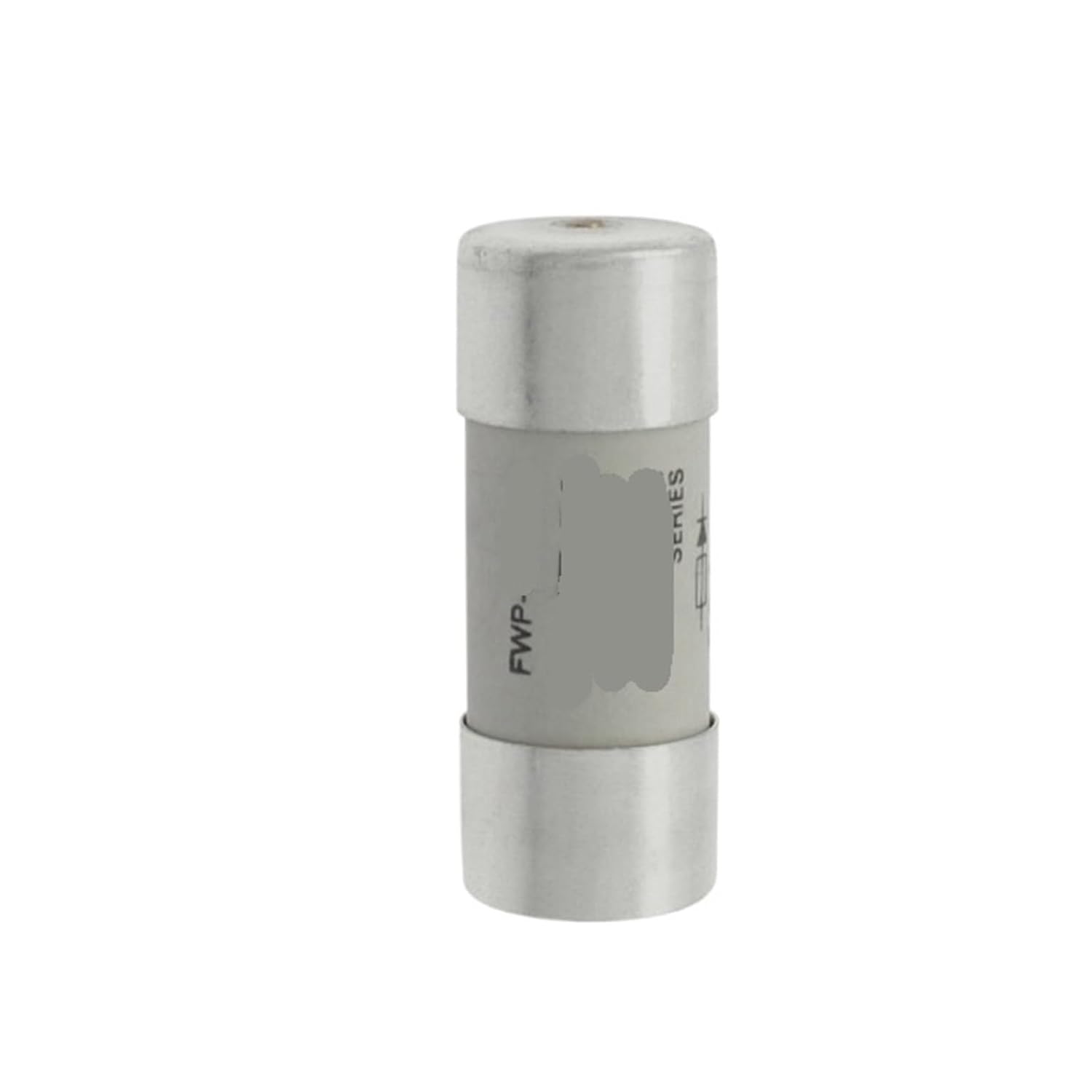 FWP-50G22FI FWP-63G22FI FWP-80G22FI Fast Blow Fuse 690V(FWP-80G22FI)