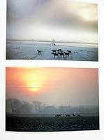 Hollandboek : fotografische impressies van Holland 9062553621 Book Cover