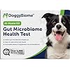 AnimalBiome Dog Probiotics Test Kit – Improve Your Dog’s Gut Health