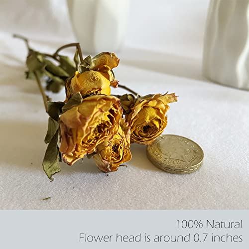 L'brevoga Dried Flower Spray Rose Bouquets, 2 Bunches 100% Natural Flowers, Miniature Roses With Baby’s Breath For Decoration Home Party (Spray Rose) #TOP3