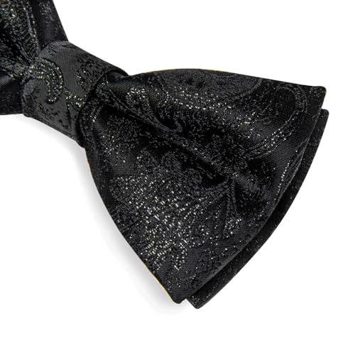 Set de pajarita clásica con diseño Paisley para hombre miniatura 6