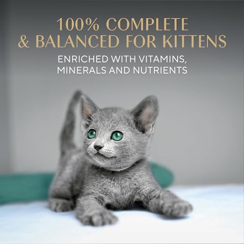 Image of Sheba Perfect Portions Kitten Wet Food, Pate Cat Food Wet Entree, Salmon Recipe, 2.6 oz. Twin-Pack Trays (24 Count, 48 Servings)