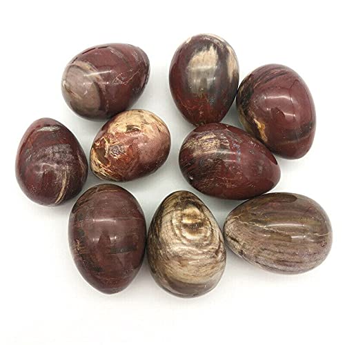 Amazon.co.jp: St 天然生の木製の化石木の石の卵の磨きクォーツ  