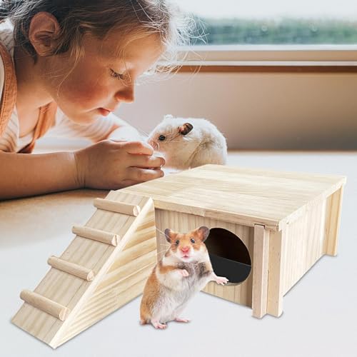 Accessoires de cage hamster avec labyrinthe et échelle de jeu