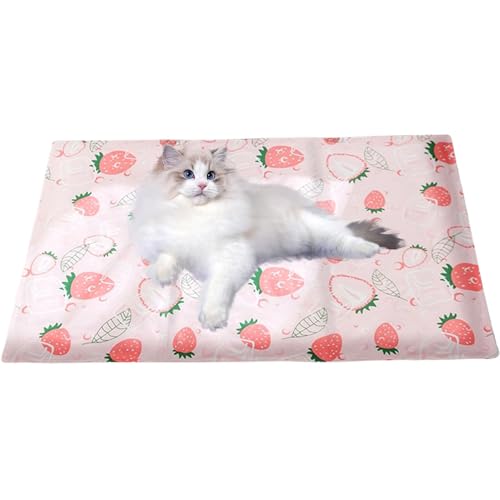 Tapis rafraîchissant pour chat Feng Shui antidérapant pour maison