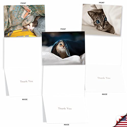 Image of The Best Card Company 10 Assorted Thank You Notecards Bulk Box Set 4 x 5.12 Inch with Envelopes (10 Designs, 1 Each) Cat You See Me Now? M1543TY