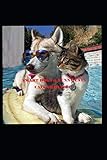 CALENDAR 2020: Funny Cats. Smart Dogs (1)