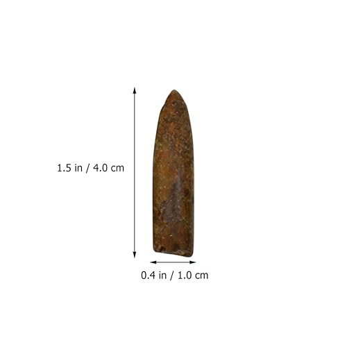 Miniatura 4 de iplusmile 10pcs Paleontología Belemnite Fósil Espécimen Ciencia Ornamento Laboratorio Suministro