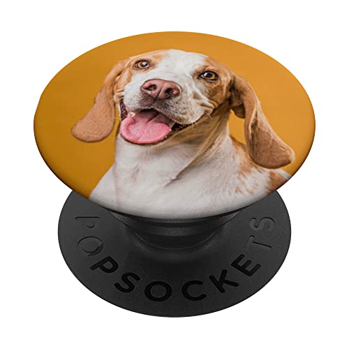 Beagle Happy Dog Cute Image Fun Photo Dog PopSockets Swappable PopGrip, Black