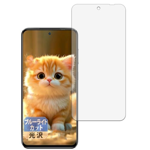 Leipsden �t�B���� OUKITEL C68 Plus (���C���f�B�X�v���C) �Ή� �ی�t�B���� �ȖʑΉ� �u���[���C�g�J�b�g TPU ����d�l ���ȏC���f�� ���{��