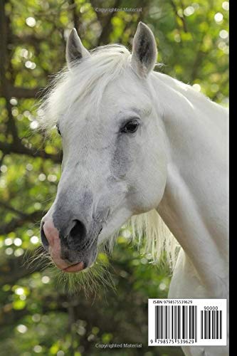 Orlov Trotter Horse Notebook For Horse Lovers: Composition Notebook 6x9" Blank Lined Journal - Image 2
