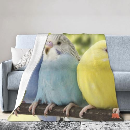 ׂĂ̋G߂ɓKĂ܂ Aj |ѕz 킢CR2 |ѕz uPbg tl zc ϋN R AM[h~ g ۉV[c dy Q \t@ uPbg 50"X40"