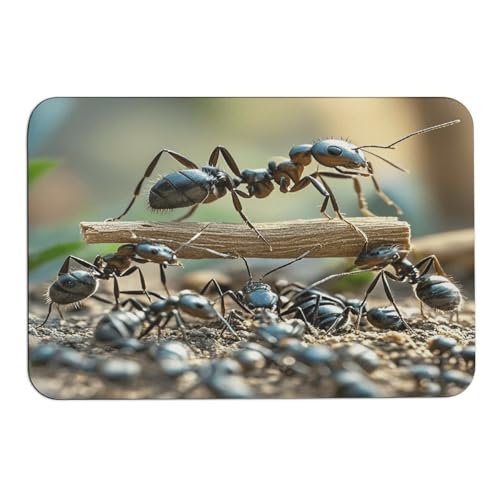 Diatomaceous Earth Bathroom Mat