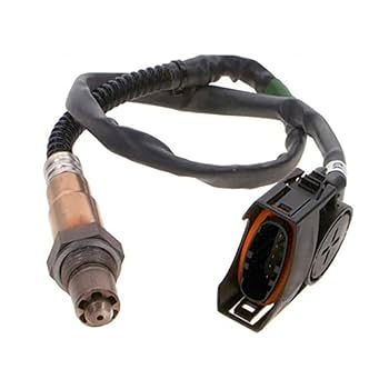 その他 Ayamo AYAMO STREET 2017 SUMMER!! | WORLD WIDE LOVE