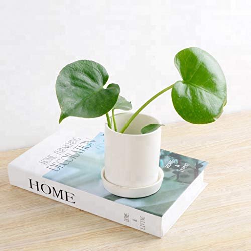 Sersberg 3.94 Inch Round Ceramic Plant Saucer For Succulent Planter Set Of 4,White #TOP3