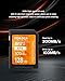 128GB UHS-II SD Card V60 Memory Cards for Professional Camera 4K/6K Video - 300MB/s Read, 100MB/s Write, Shockproof & Waterproof High-Speed Storage, U3 Class 10 Compatible with Canon (EF8)