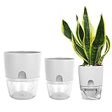🌱【Sistema de riego automático】: La maceta de autorriego del alféizar de la ventana está diseñada con capas dobles. La olla de hierbas de cocina puede almacenar el exceso de agua y mantenerla limpia. La cuerda de riego absorbe y almacena agua para asegurar el crecimiento saludable de las plantas. El agua se separa del interior y solo es absorbida por la cuerda de riego. Hay una pequeña abertura en el exterior de la maceta para rellenar el agua.