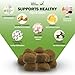 Deley Naturals Dog Hip and Joint Supplement - Glucosamine Chondroitin MSM & Collagen for Dogs - Smaller Chews, Fewer Calories, Same Active Ingredients for Hip & Joint Care - 120 Chicken Flavor Chews