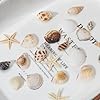 1200 PCS Natural Seashells, Joyfulmap Tiny sea Shells & Small Starfish for Decorations, Mixed Ocean Beach Spiral Shells for Crafting, Fish Tank, Beach Theme Party, Wedding Decor, DIY Craft Supplies #2