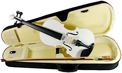 Violin Distele de 4/4 de madera color Natural con Estuche : Amazon.com.mx:  Instrumentos Musicales
