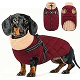 Queenmore Dog Coat, Dog Coats for Small Dogs, Doggy Winter Jacket with Zipper On Back, Waterproof Pet Jacket with Harness Built in, Pet Puffer Coat for Bichon, Schnauzer, Yorkie, Burgundy S