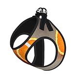 Réglable et facile à utiliser : la combinaison de Velcro et de boucle à l'arrière permet un ajustement facile et un enfilage et un retrait rapides, assurant un ajustement sûr et confortable pour votre animal de compagnie.