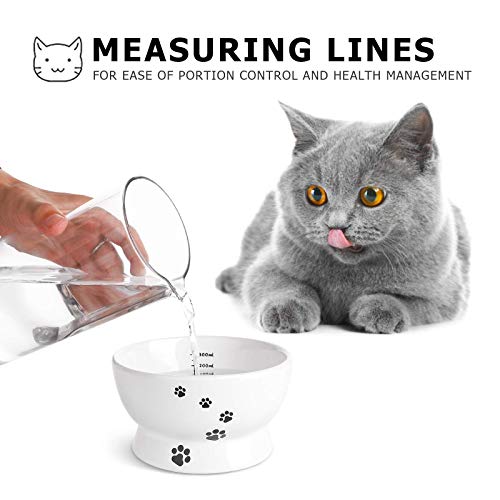Y Yhy Raised Cat Food And Water Bowl Set, Tilted Elevated Cat Food Bowls No Spill, Ceramic Cat Food Feeder Bowl Collection, Pet Bowl For Flat-Faced Cats And Small Dogs, Set Of 2, White #TOP6