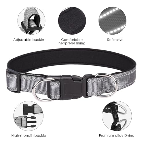 Collar para perro ajustable Soft Padded Nylon Gris S miniatura 3