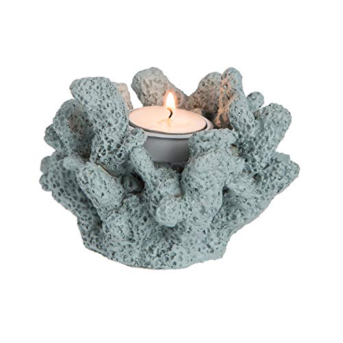 Best Coral Candle Holder 2022 Where to Buy?