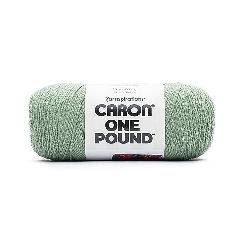 Image of Caron One Pound Succulent Yarn - 2 Pack of 16oz /453.6g - Acrylic - #4 Worsted (Medium) - 812 Yards - Knitting & Crochet