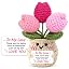 Pink Tulip - To My Love