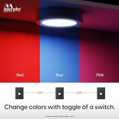 Image of Murphy 5W CBL 3-in-1 Round Surface Down Light Color Changing Light (Red /Blue /Pink, Pack of 20)
