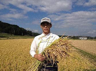 Amazon.co.jp: 御神米イセヒカリ (300g2合パック) 令和7年産 新米 TOMO