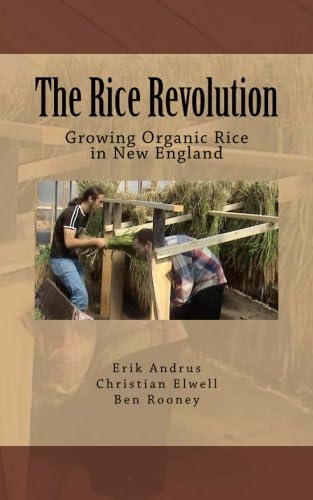 The Rice Revolution: Growing Rice in New England