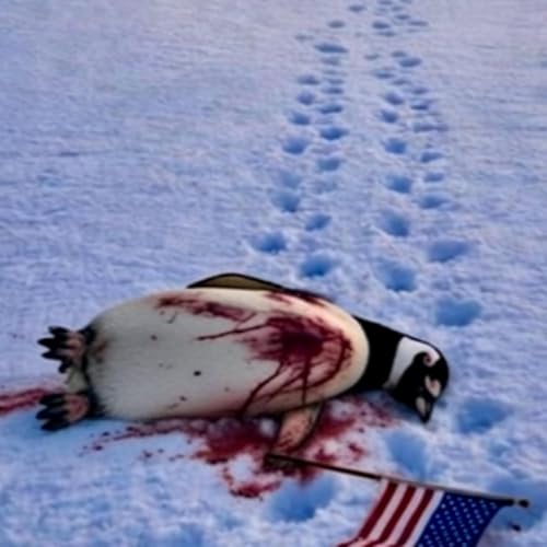 ICE-Hilfssheriffs in Minneapolis, Angst und die Midterms