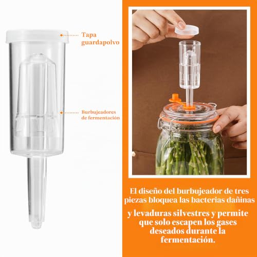 Miniatura 4 de Swiftslot Tarros De Fermentación De 2 Litros Con Pesas Y Bloqueo De Aire, Kit De Fermentación Para Chucrut, Kimchi, Kombucha Y Encurtidos, Paquete De 2