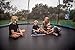 SkyBound Cirrus 14 Foot Trampoline with Safety Enclosure Net - Rated for Kids and Teens, Black and Blue