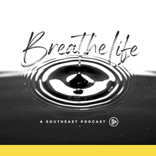 Couverture de Breathe Life