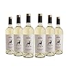 Crama Ceptura | ASTRUM CERVI Feteasca Regala – Weißwein halbtrocken aus Rumänien | Weinpaket 6 x 0.75 L DOC-CMD
