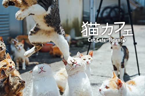 Miniatura 7 de Cat Cafe Calming Karinto Healing Jazz BGM "15 canciones que quiero escuchar con gatos"