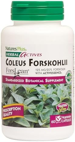 NaturesPlus Herbal Actives Coleus Forskohlii - 125 mg, 60 Vegan Capsules - Heart Support Supplement, Supports Healthy Metabolism - Vegetarian, Gluten-Free - 60 Servings