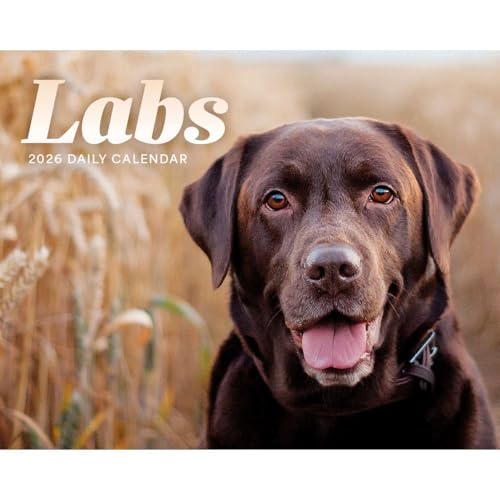 Carousel Calendars, Labs 2026 Desk Calendar, 6.18'' X 5.43'', 16-Month Calendar with Stapled Binding