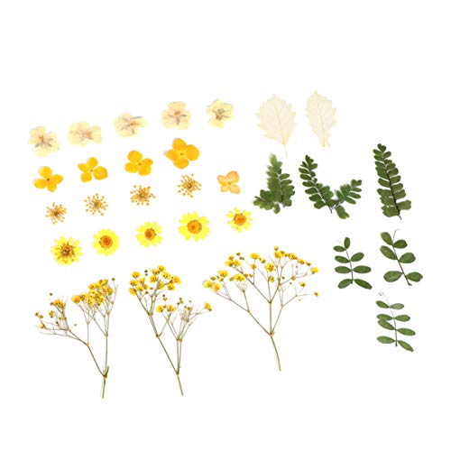 SEWACC Caso Prensado Vela Real Fazendo Ornamentos de Plantas de Flores Arte para Decoração de Pétala