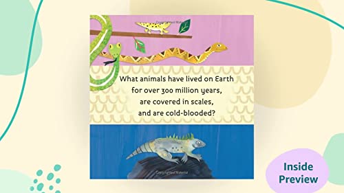 Hello, World! Reptiles #TOP1