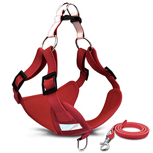 NOVEMBER SPRING Dog Breathable Soft dog vest Harness and Leash set Puppy Small Dogs Vest Chest Harness No Pull