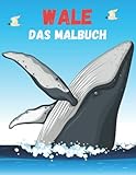 Wale: Malbuch für Kinder, Jungen und Mädchen mit 40 interessanten Motiven von Walen - Thomas Jakob 