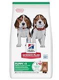 Hills Canine Puppy Healthy Development Lamm & Reis 12kg, 1er Pack (1 x 12 kg Packung)